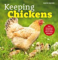 bokomslag Keeping Chickens