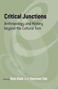 bokomslag Critical Junctions