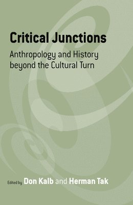 bokomslag Critical Junctions