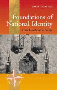 bokomslag Foundations of National Identity