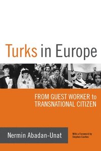 bokomslag Turks in Europe