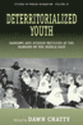 bokomslag Deterritorialized Youth