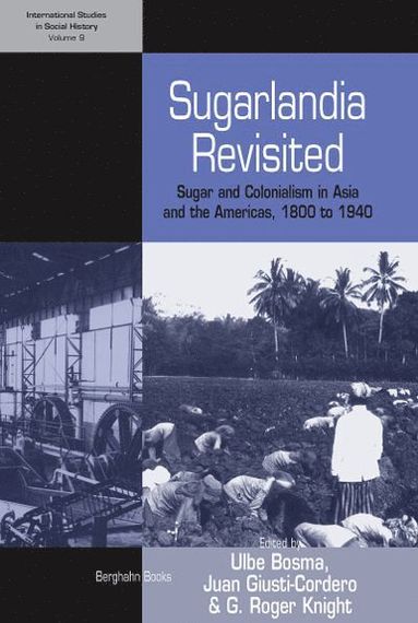 Ulbe Bosma, Juan A. Giusti-Cordero, G. Roger Knight - Sugarlandia Revisited, Häftad