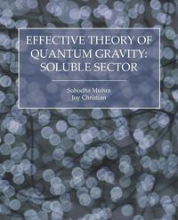 bokomslag Effective Theory of Quantum Gravity