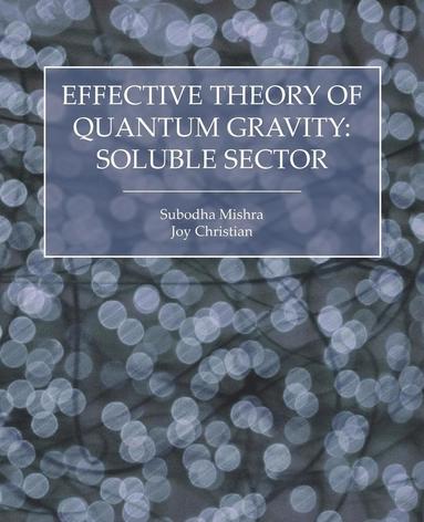 Subodha Mishra, Joy Christian - Effective Theory of Quantum Gravity, Häftad