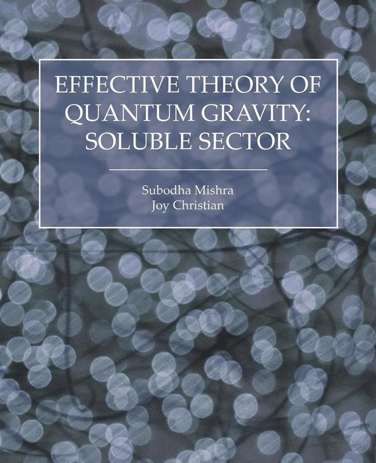 Subodha Mishra, Joy Christian - Effective Theory of Quantum Gravity, Häftad