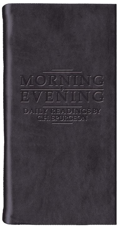 bokomslag Morning And Evening - Matt Black