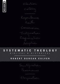 bokomslag Systematic Theology