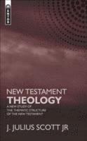 bokomslag New Testament Theology