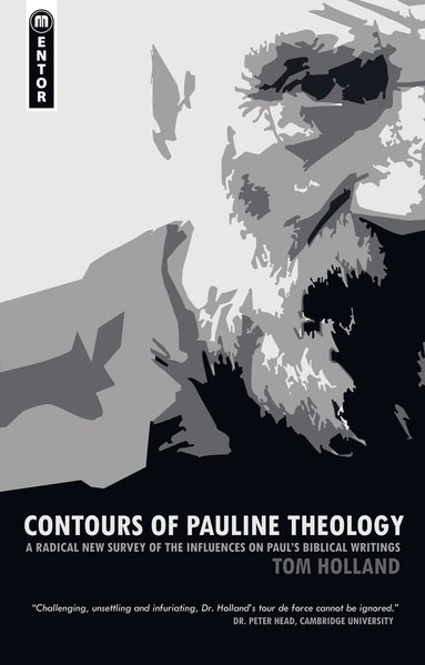 bokomslag Contours of Pauline Theology