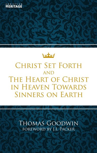 bokomslag Christ Set Forth