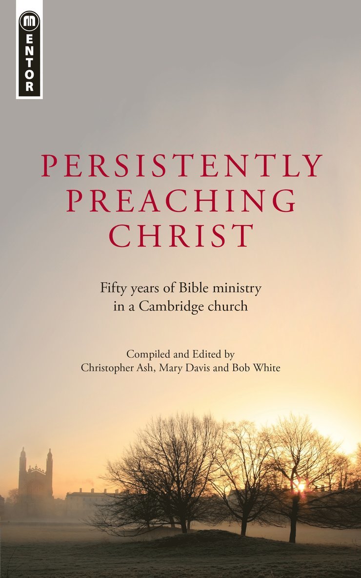 Mary Davis - Persistently Preaching Christ, Häftad
