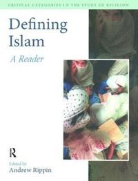 bokomslag Defining Islam