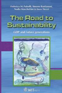 bokomslag The Road to Sustainability