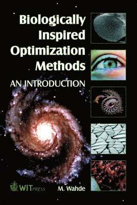 C. A. Brebbia, M. Wahde - Biologically Inspired Optimization Methods, Inbunden