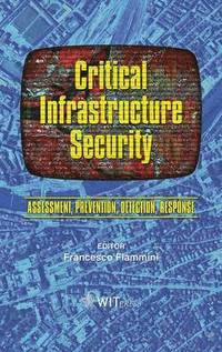 bokomslag Critical Infrastructure Security