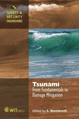 Tsunami 1