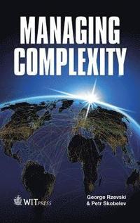 bokomslag Managing Complexity