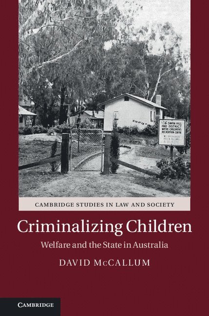 David McCallum, David Mccallum - Criminalizing Children, Inbunden
