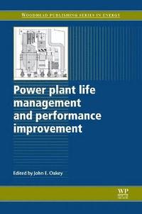 bokomslag Power Plant Life Management and Performance Improvement