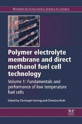 bokomslag Polymer Electrolyte Membrane and Direct Methanol Fuel Cell Technology