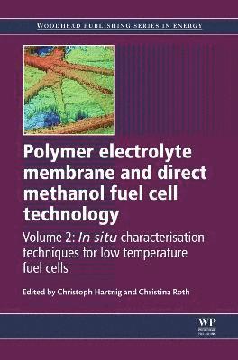 bokomslag Polymer Electrolyte Membrane and Direct Methanol Fuel Cell Technology