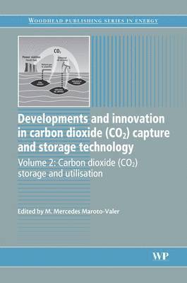 M. Mercedes Maroto-Valer - Developments and Innovation in Carbon Dioxide (CO2) Capture and Storage Technology, Inbunden