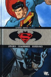 bokomslag Superman/Batman: Vengeance
