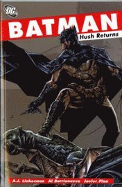 bokomslag Batman: Hush Returns