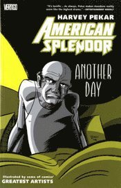 bokomslag American Splendor: Another Day