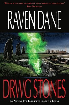 Raven Dane - Drwg Stones, Häftad