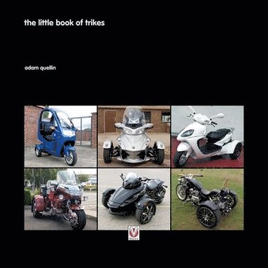 bokomslag The Little Book of Trikes