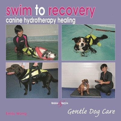 Swim to Recovery: Canine Hydrotherapy Healing 1