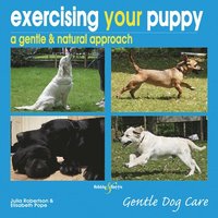 bokomslag Exercising Your Puppy: a Gentle & Natural Approach