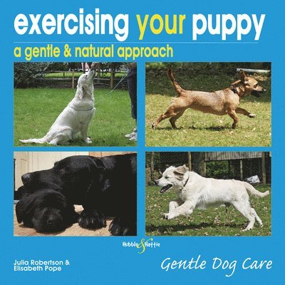 Exercising Your Puppy: a Gentle & Natural Approach 1