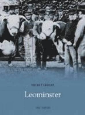 bokomslag Leominster