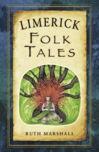 bokomslag Limerick Folk Tales