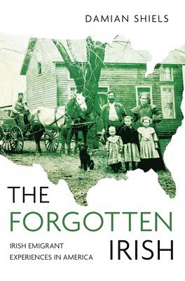 bokomslag Forgotten Irish