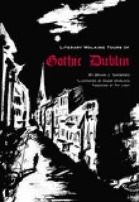 bokomslag A Literary History of Gothic Dublin