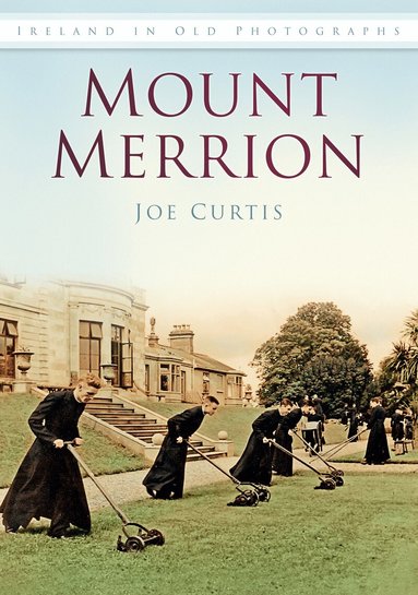 Joe Curtis - Mount Merrion, Häftad