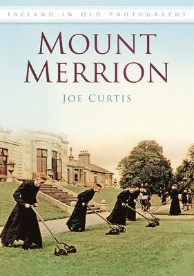 Joe Curtis - Mount Merrion, Häftad