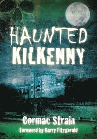 bokomslag Haunted Kilkenny