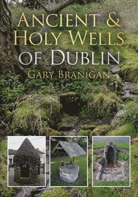 bokomslag Ancient and Holy Wells of Dublin