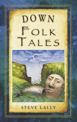 bokomslag Down Folk Tales