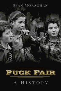bokomslag Puck Fair