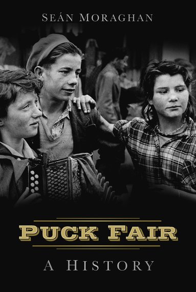 bokomslag Puck Fair