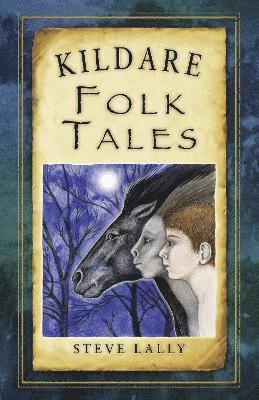 Steve Lally - Kildare Folk Tales, Häftad