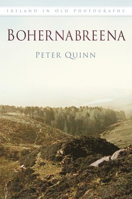 Peter Quinn - Bohernabreena, Häftad