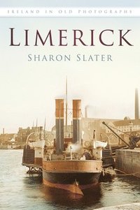 bokomslag Limerick