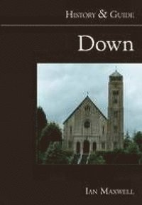 bokomslag Down: History and Guide